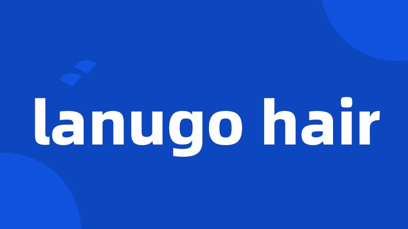 lanugo hair