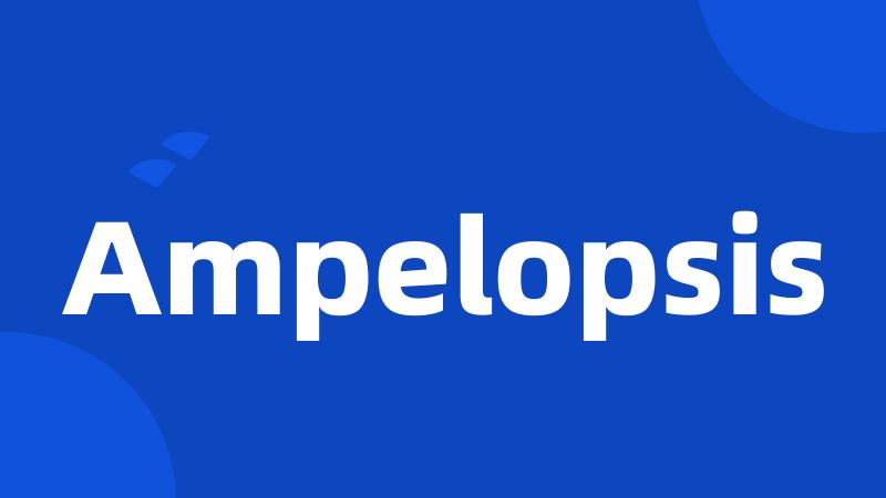 Ampelopsis