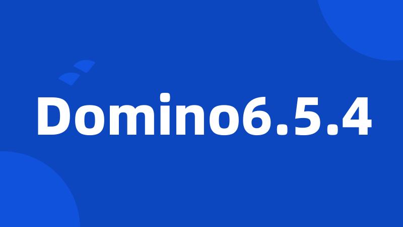 Domino6.5.4