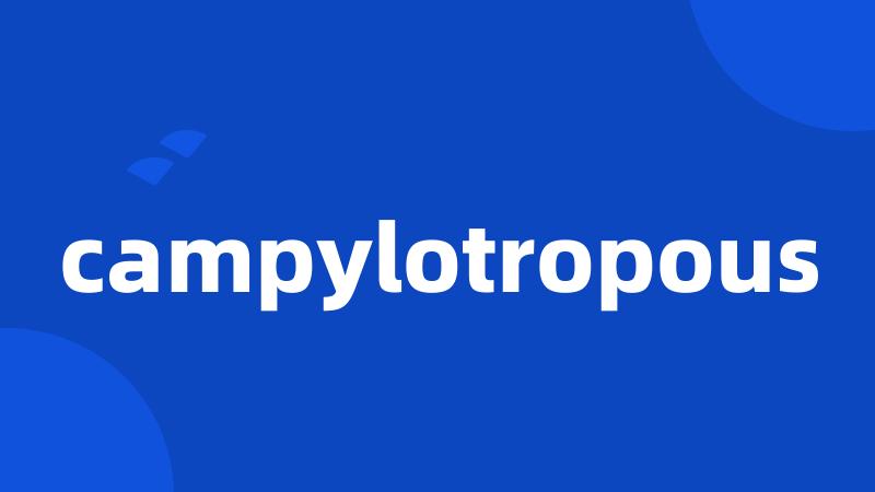 campylotropous