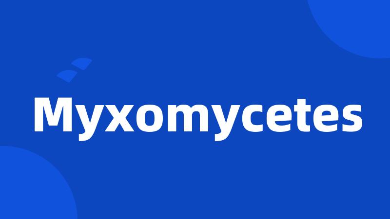 Myxomycetes