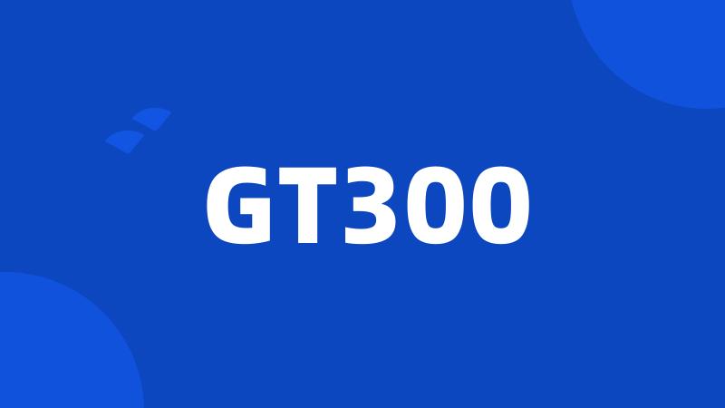 GT300