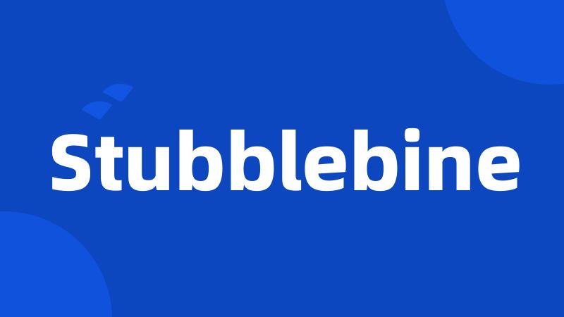 Stubblebine