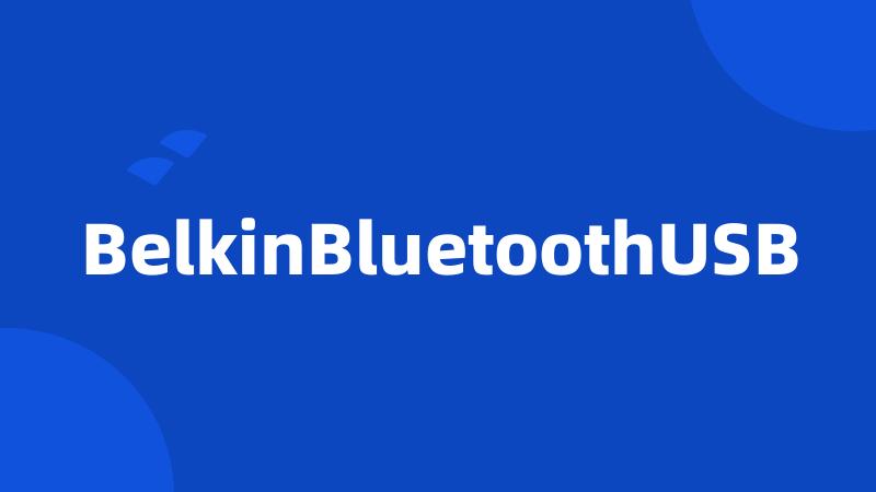 BelkinBluetoothUSB