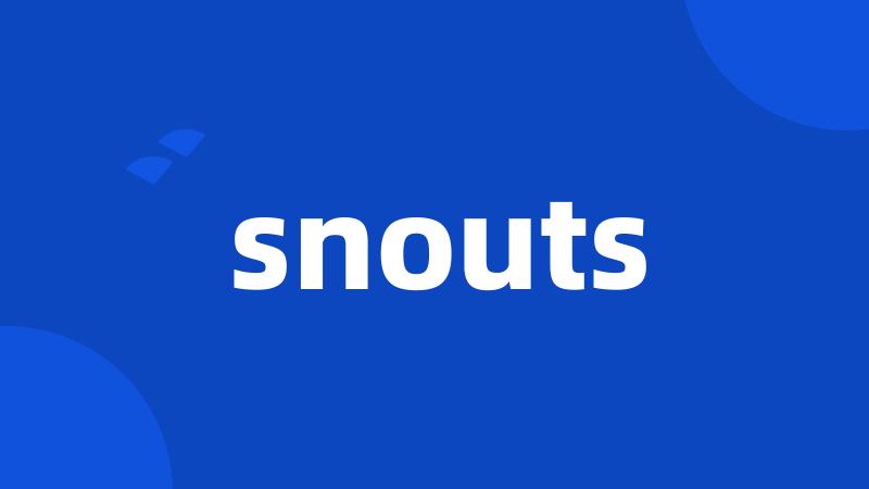 snouts