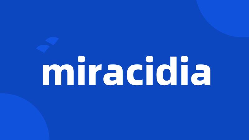 miracidia