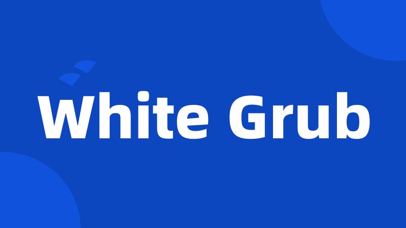 White Grub