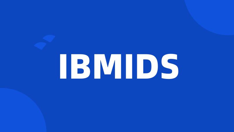 IBMIDS