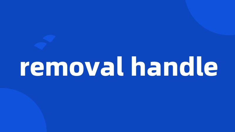 removal handle