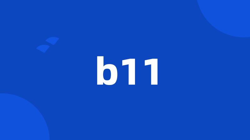 b11