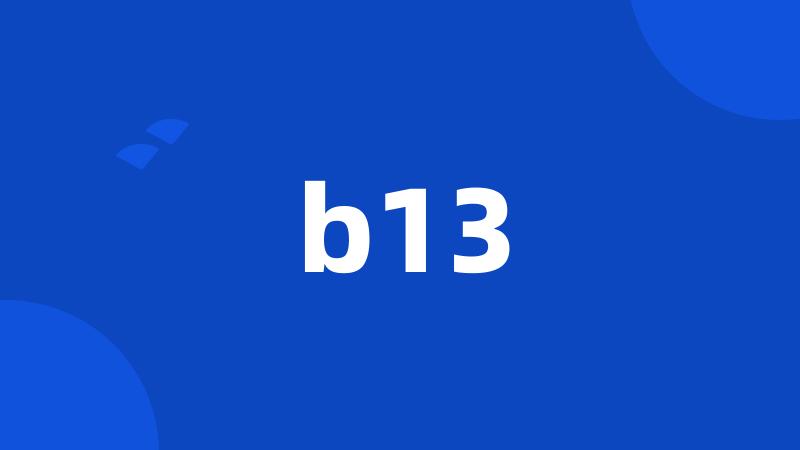 b13