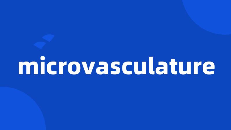 microvasculature