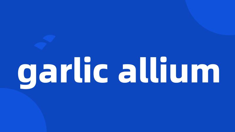 garlic allium