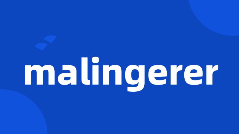 malingerer