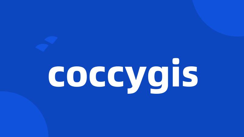 coccygis