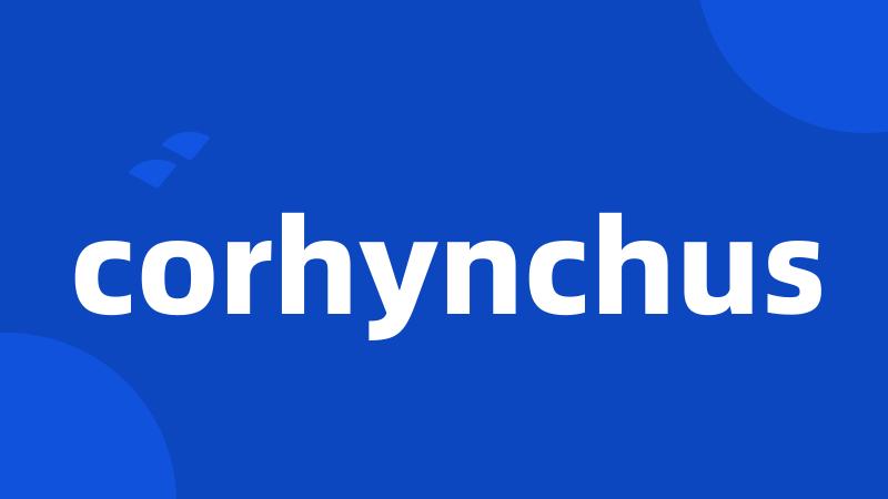 corhynchus