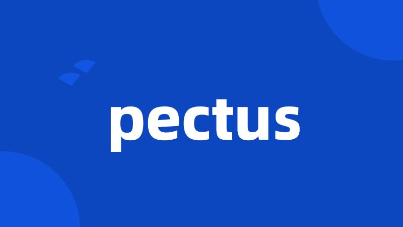 pectus