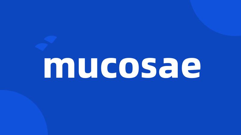 mucosae
