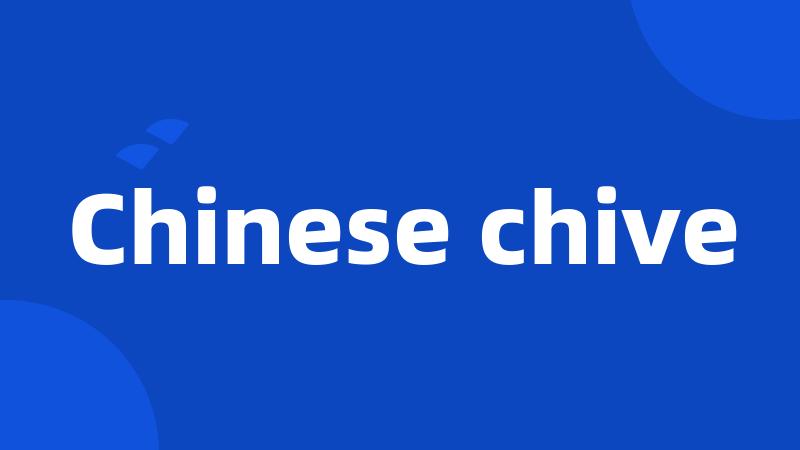 Chinese chive