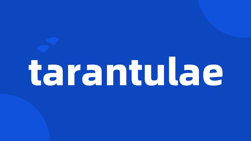 tarantulae