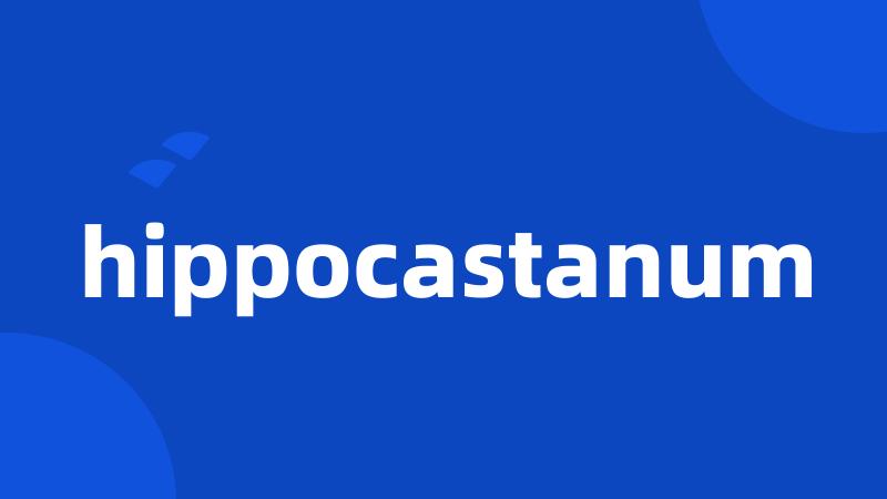 hippocastanum