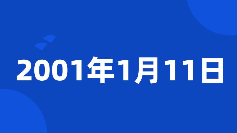 2001年1月11日