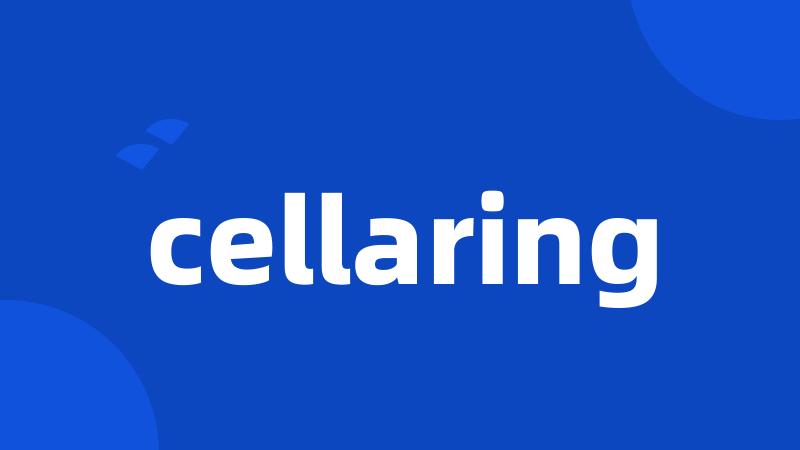 cellaring