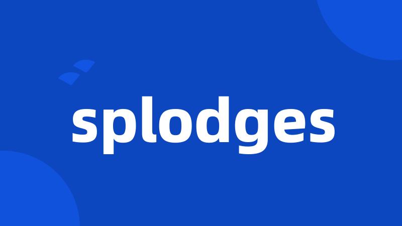 splodges