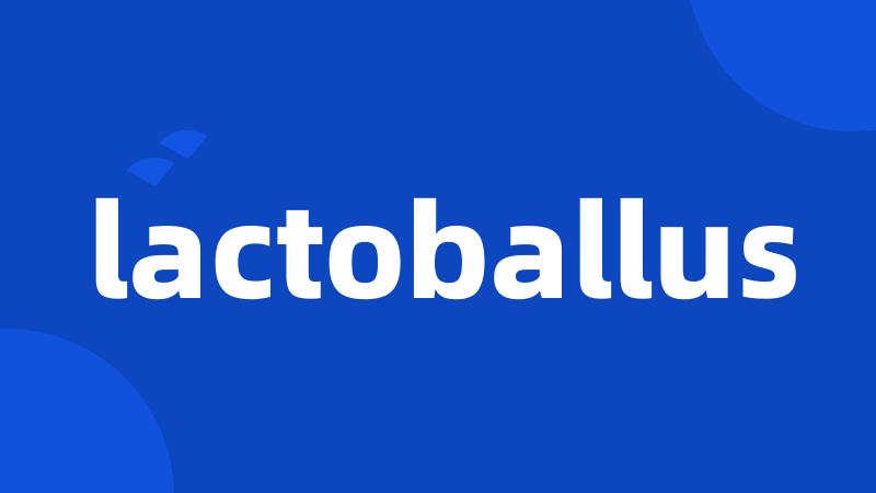 lactoballus