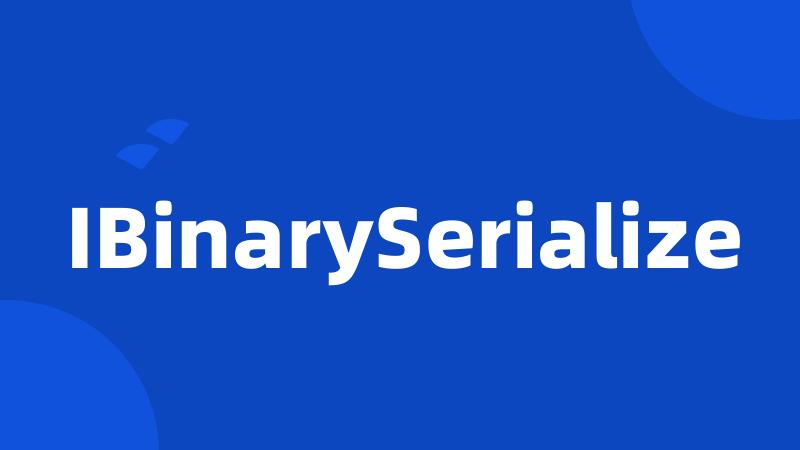 IBinarySerialize