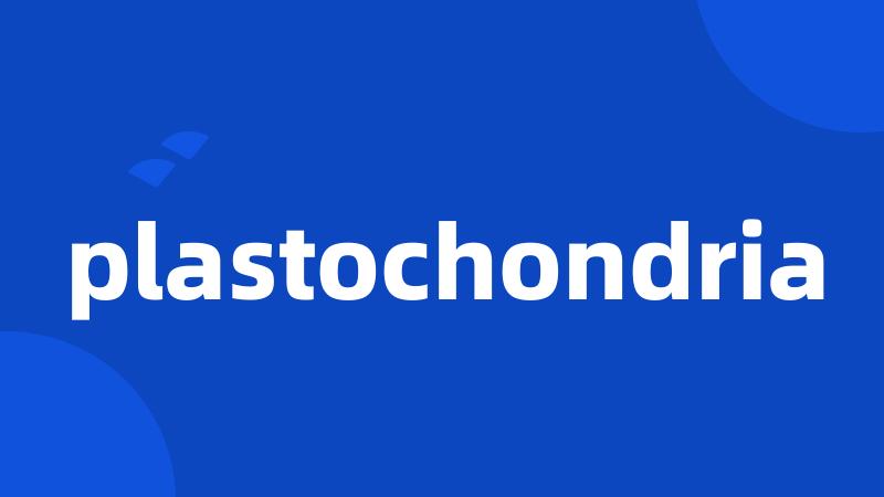 plastochondria
