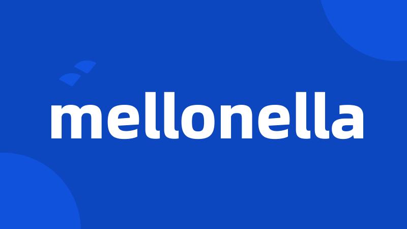 mellonella