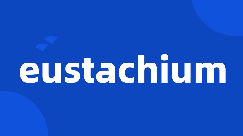 eustachium