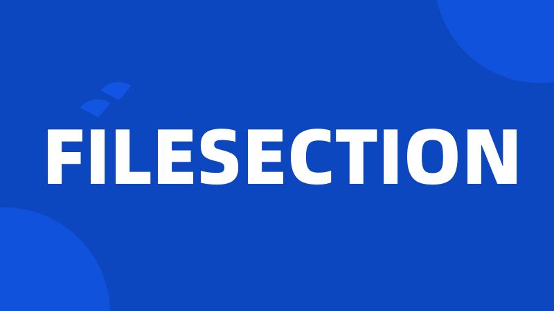 FILESECTION