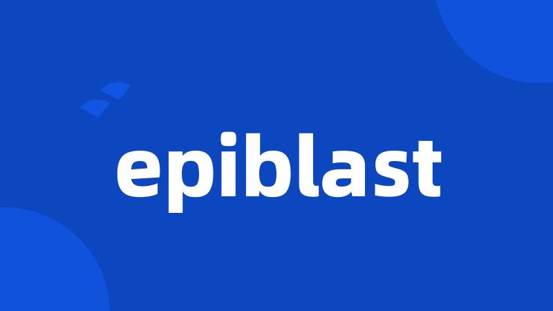 epiblast