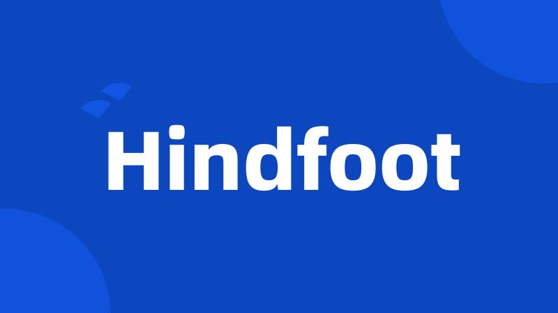 Hindfoot