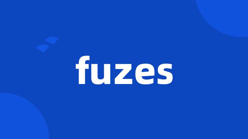 fuzes