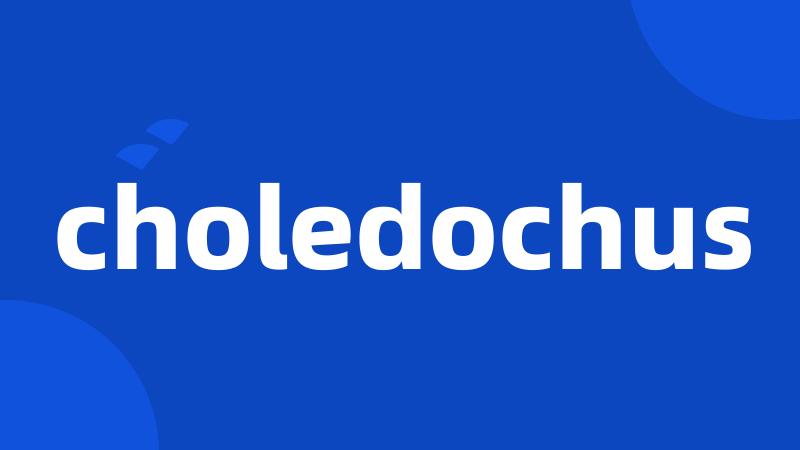choledochus