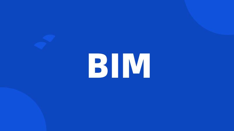 BIM