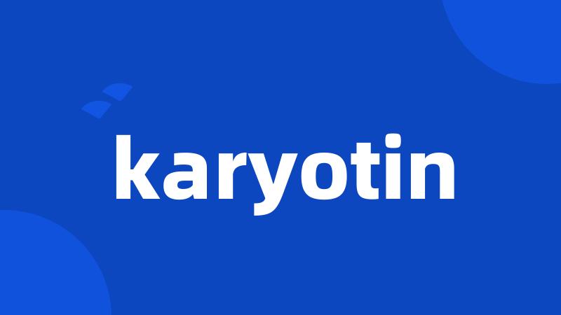 karyotin