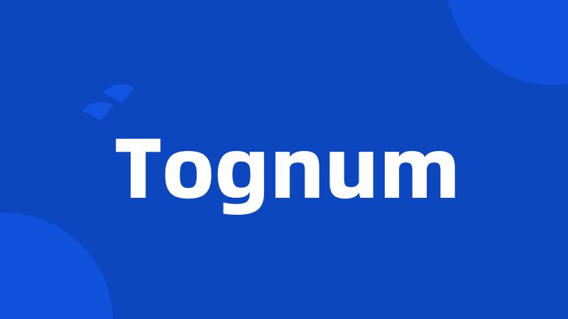 Tognum