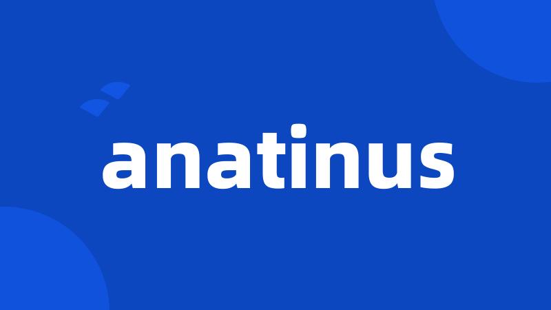 anatinus