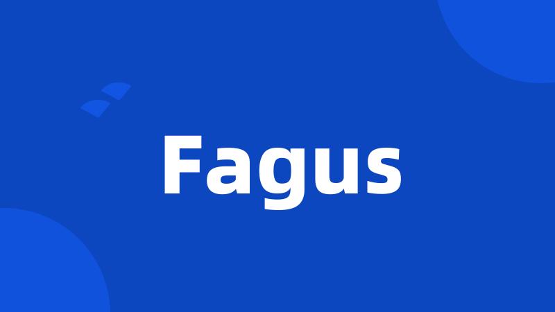 Fagus