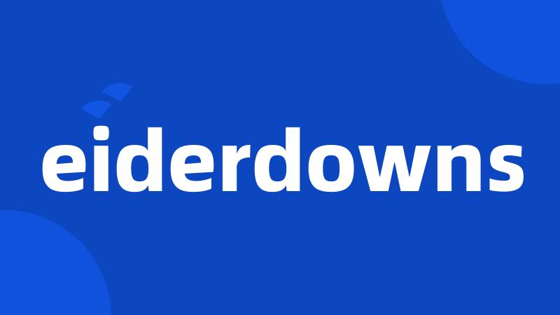 eiderdowns