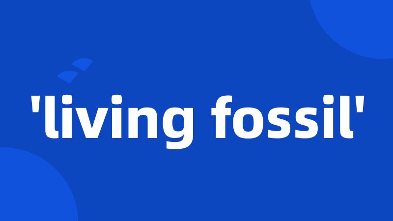 'living fossil'