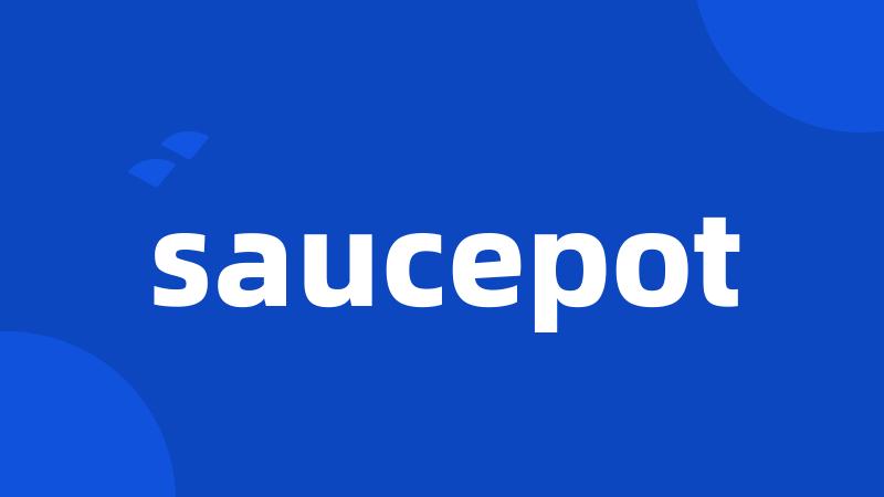 saucepot