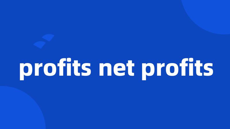 profits net profits