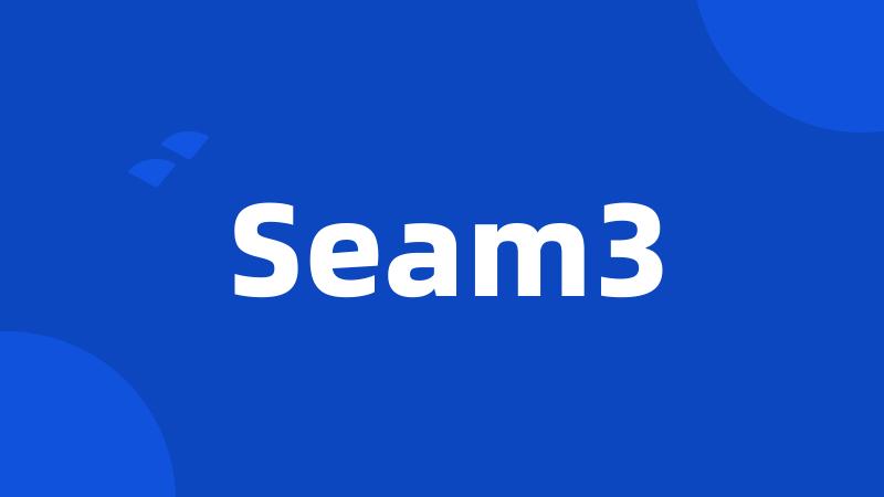 Seam3
