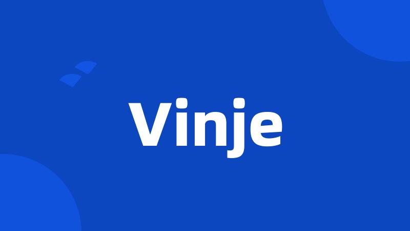 Vinje