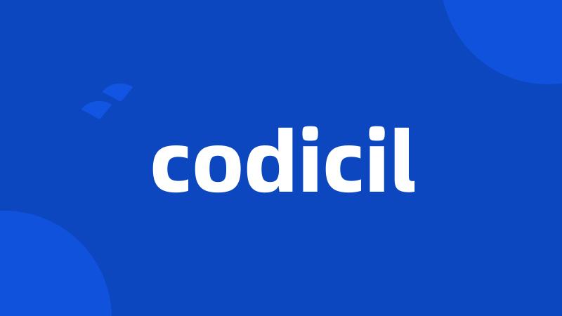 codicil